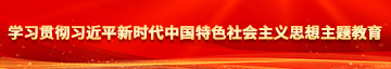 阴茎猛插阴道视频学习贯彻习近平新时代中国特色社会主义思想主题教育